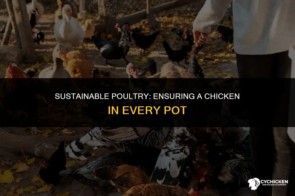 should be a chicken in every pot