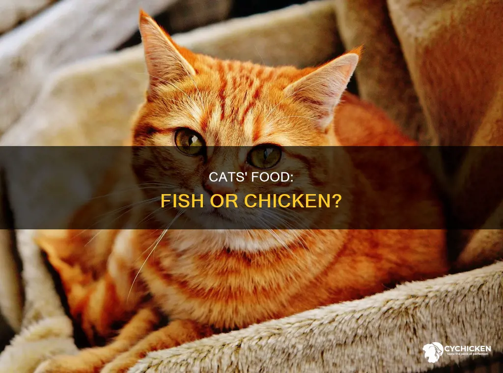 should cats have fish as opposed to chicken dry food