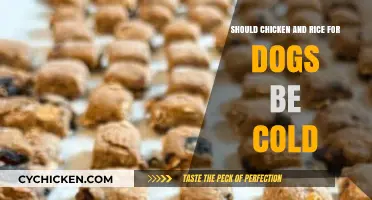 Should Chicken and Rice for Dogs Be Served Cold? Tips and Advice