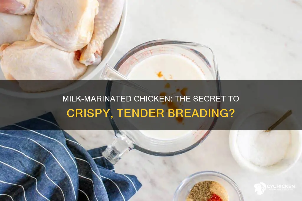 should chicken be marinated in milk before breading