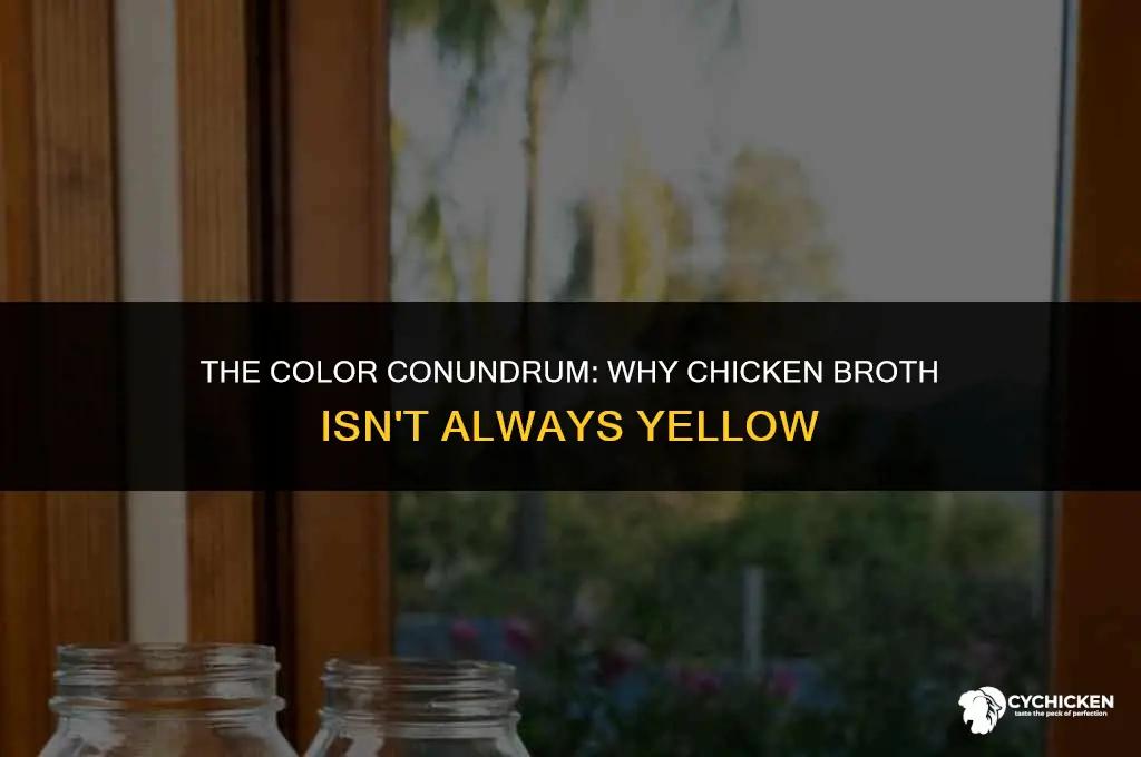 should chicken broth be yellow