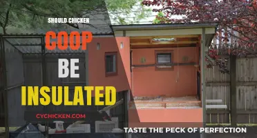 Insulating Your Chicken Coop: A Guide to Year-Round Comfort