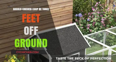 Elevating Your Chicken Coop: Benefits of a 3-Foot Lift