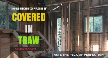 The Great Debate: Traw or No Traw for Chicken Coop Floors?