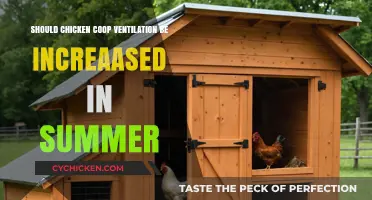 Boosting Chicken Coop Ventilation: A Summer Essential for Happy Hens