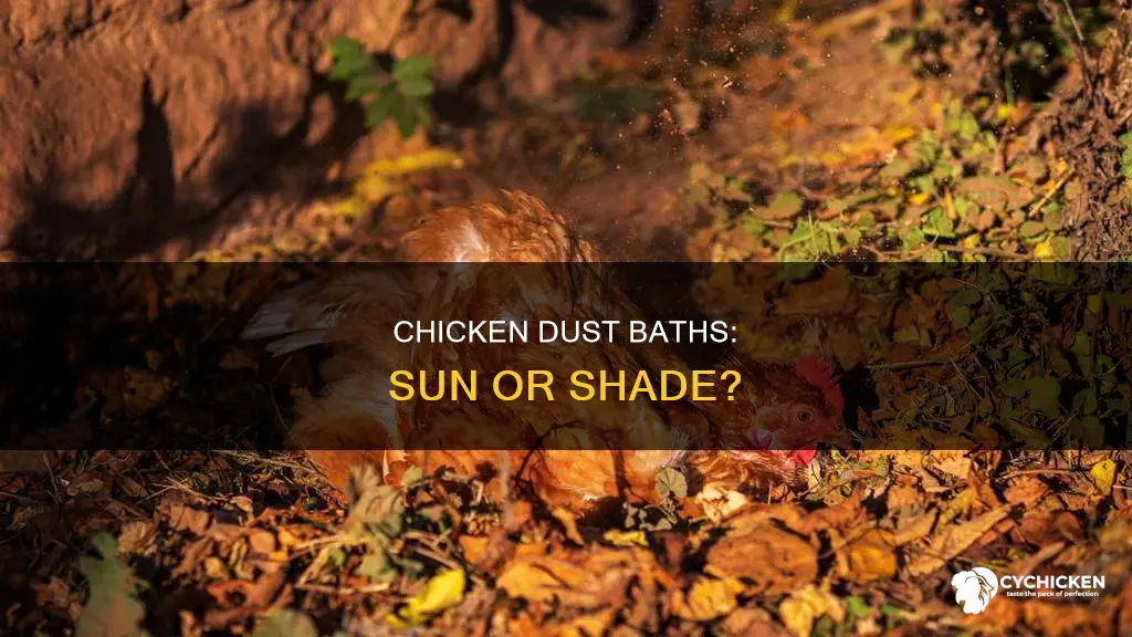 should chicken dust bath be in shade or sun