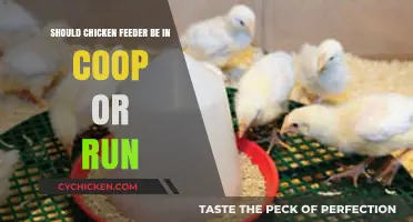 Optimal Placement: Chicken Feeder in Coop or Run?