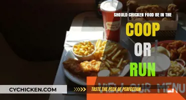Coop or Run: The Great Chicken Food Debate