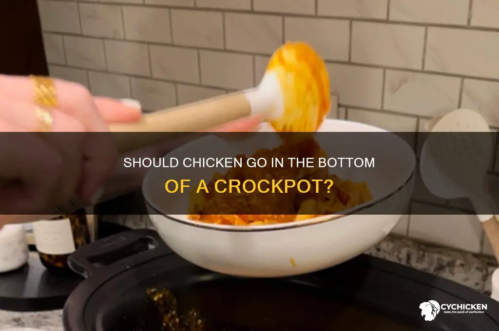 should chicken go in bottom of crockpot