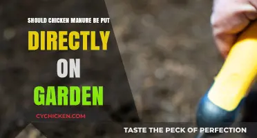 Using Chicken Manure in Gardens: Direct Application Pros and Cons