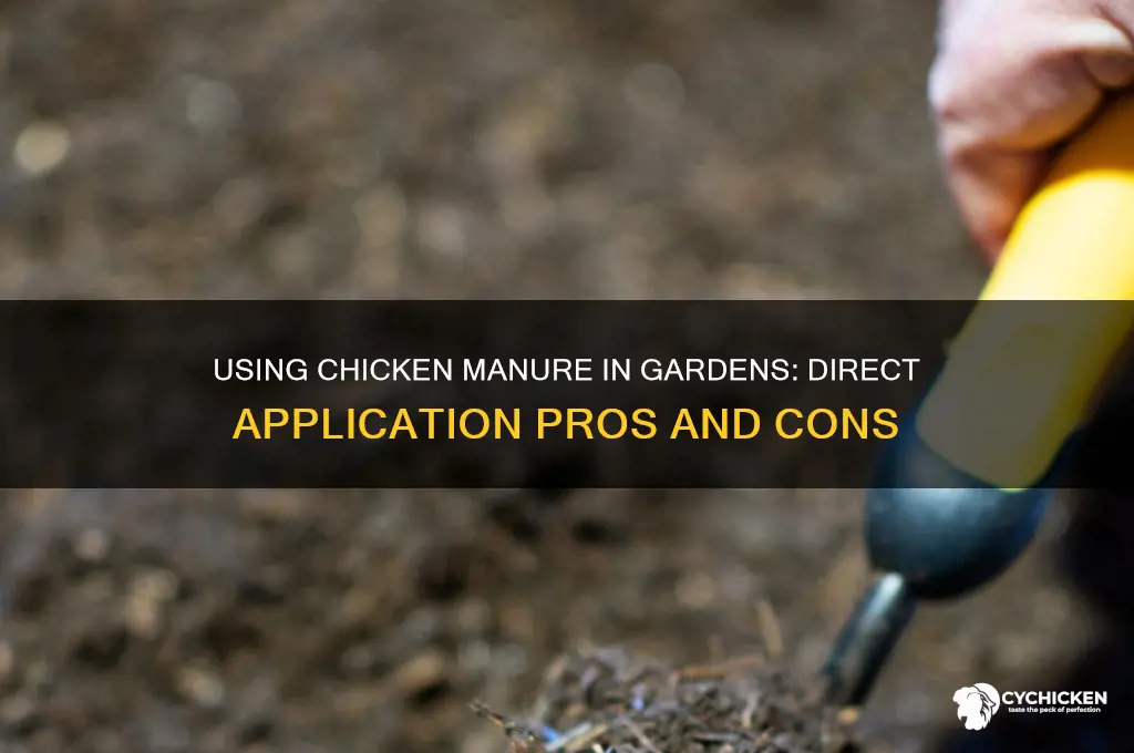 should chicken manure be put directly on garden