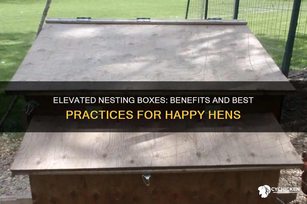 should chicken nesting boxes be off the ground