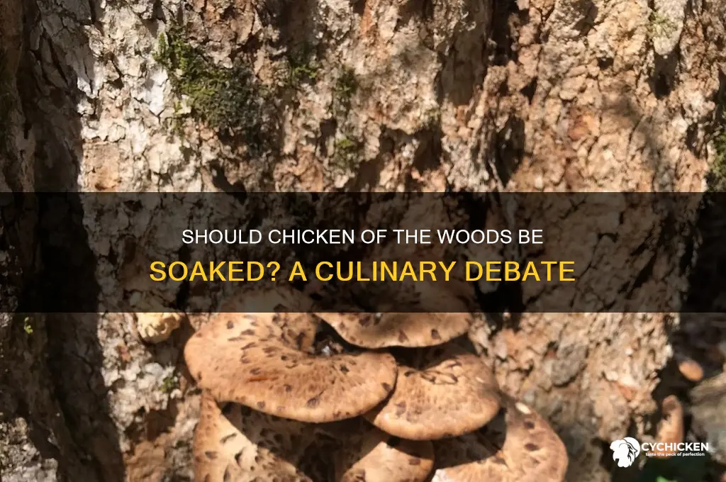 should chicken of the woods be soaked