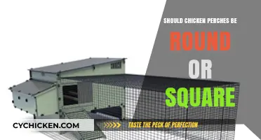 Round vs. Square Chicken Perches: Which Design Benefits Your Flock?