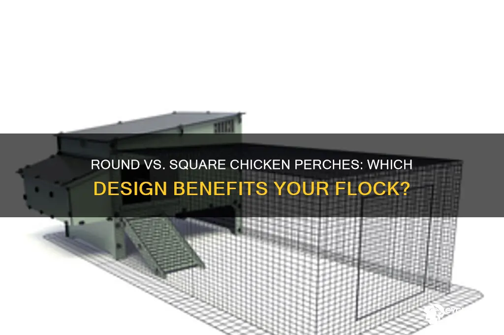 should chicken perches be round or square