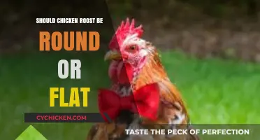 Round vs. Flat: Which Chicken Roost Design is Best?