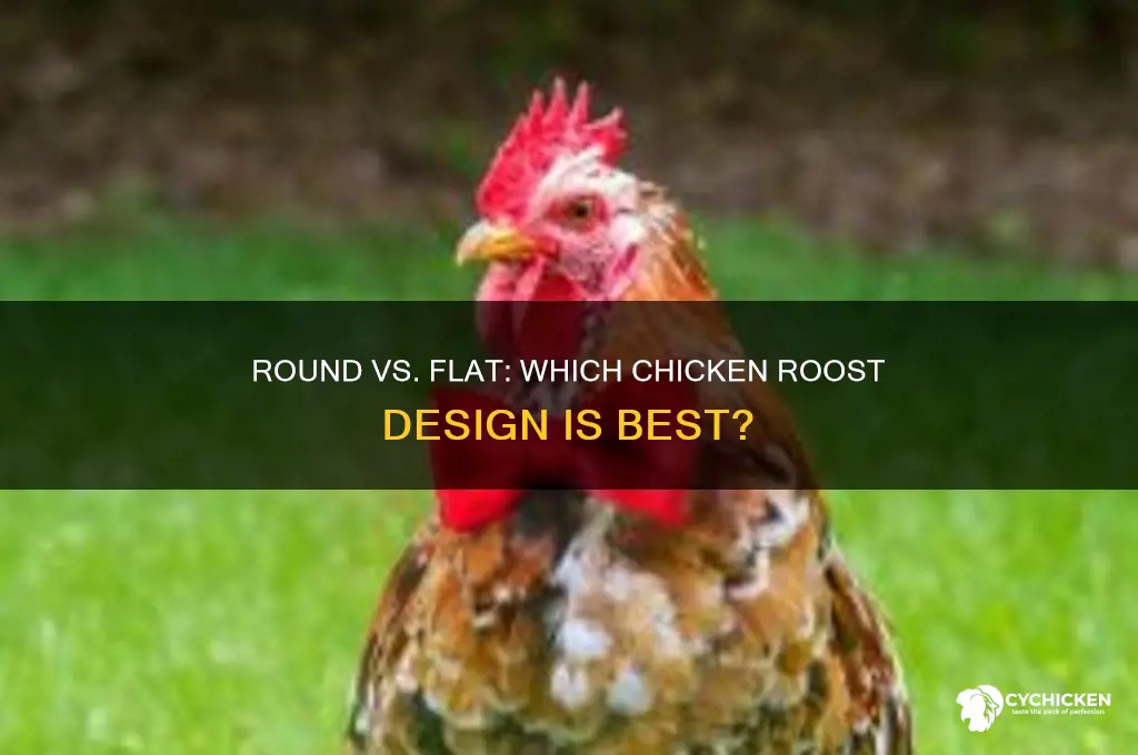 should chicken roost be round or flat