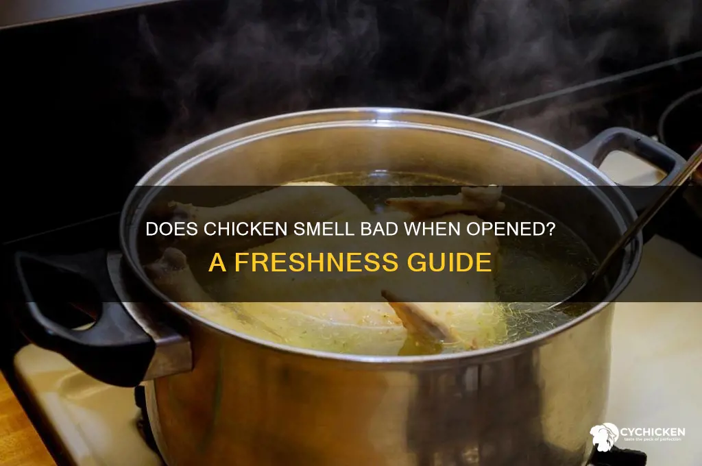 should chicken smell when you open it