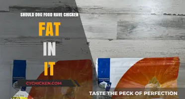 Chicken Fat in Dog Food: Benefits, Concerns, and What Owners Need to Know
