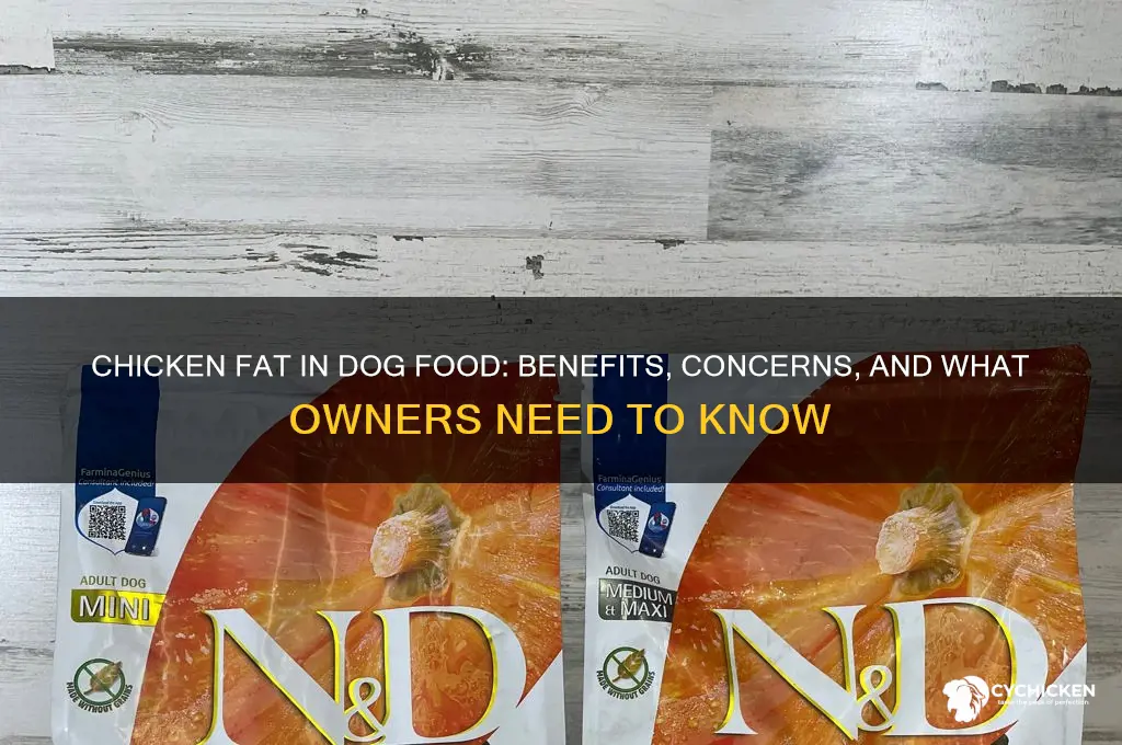 should dog food have chicken fat in it