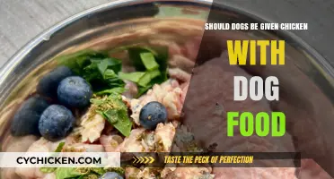 Can Dogs Safely Eat Chicken with Their Regular Dog Food?