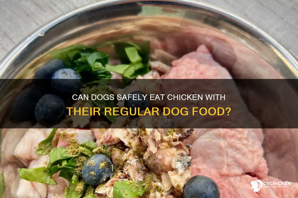 should dogs be given chicken with dog food