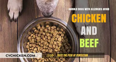 Can Dogs with Allergies Safely Eat Chicken and Beef?