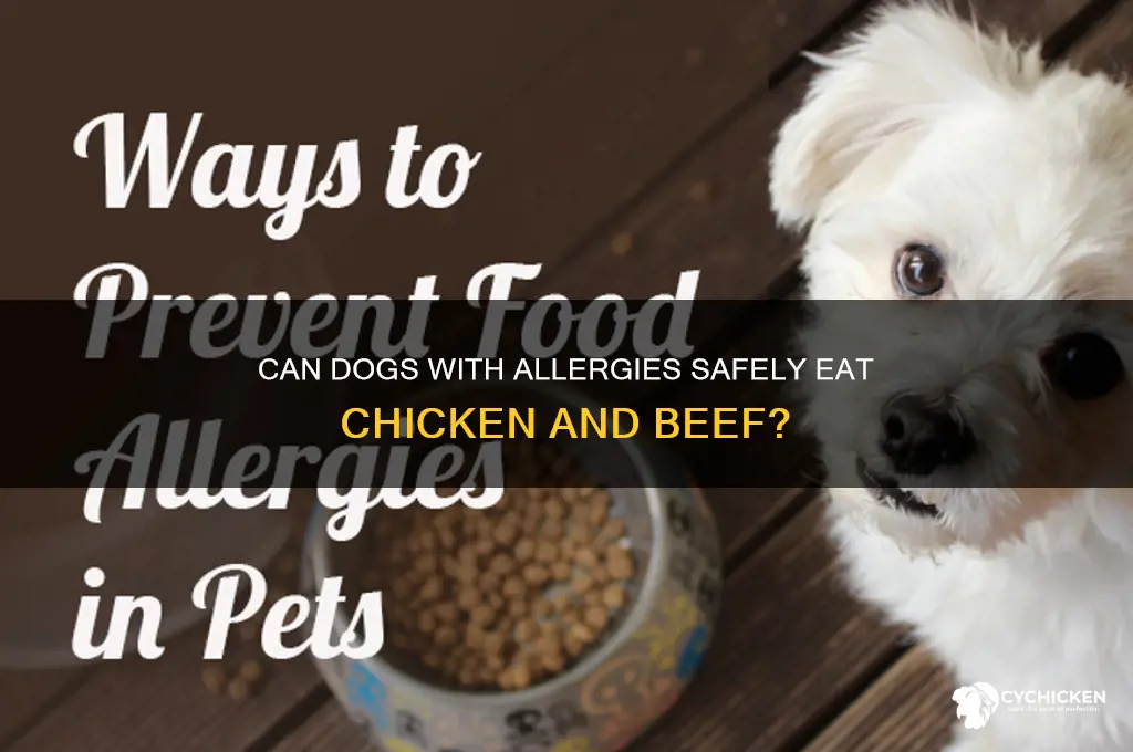 should dogs with allergies avoid chicken and beef