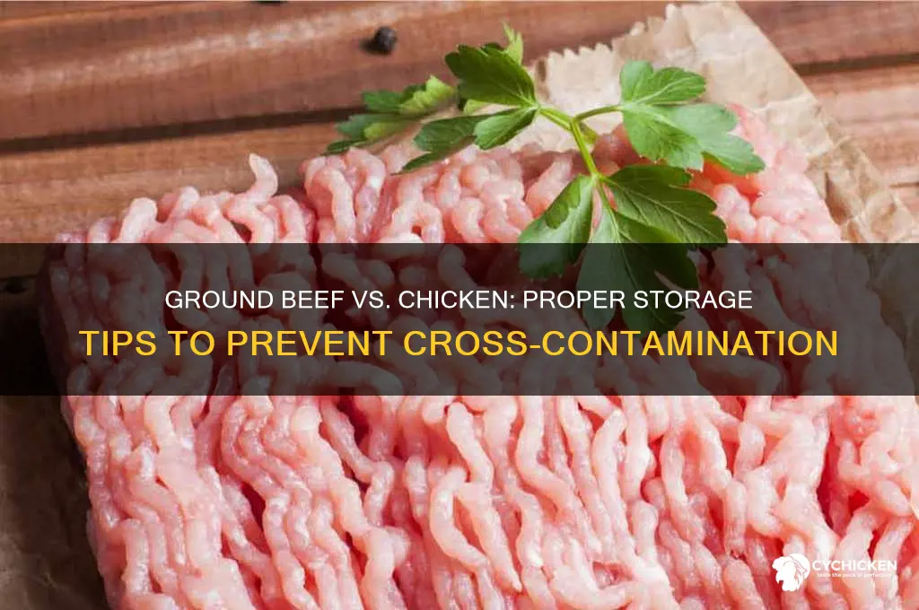 should ground beef be stored above chicken