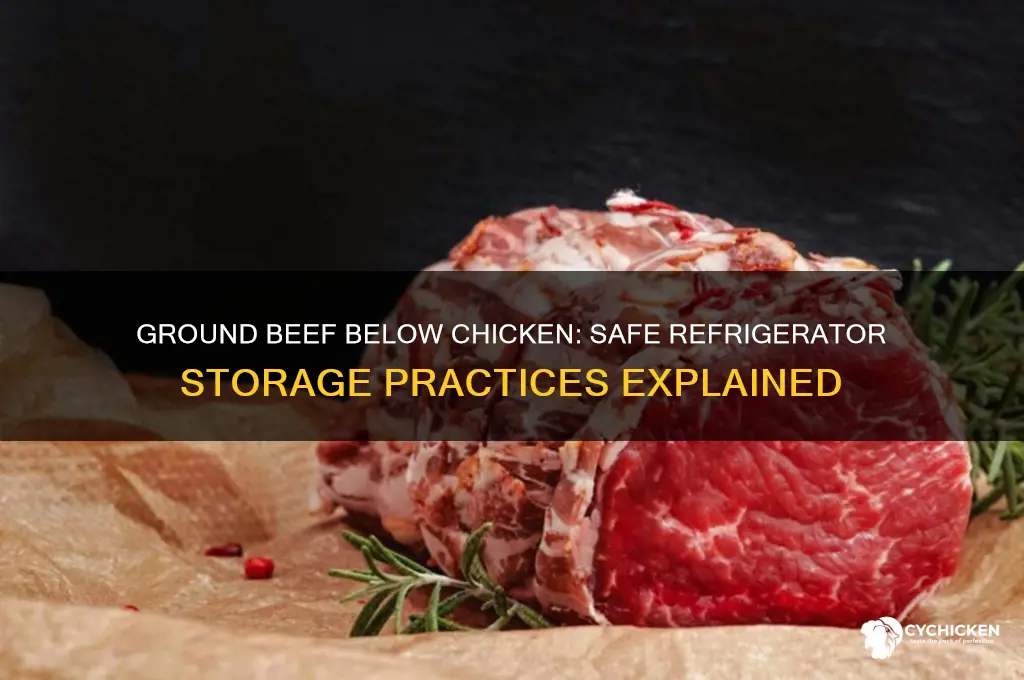 should ground beef should be stored below chicken