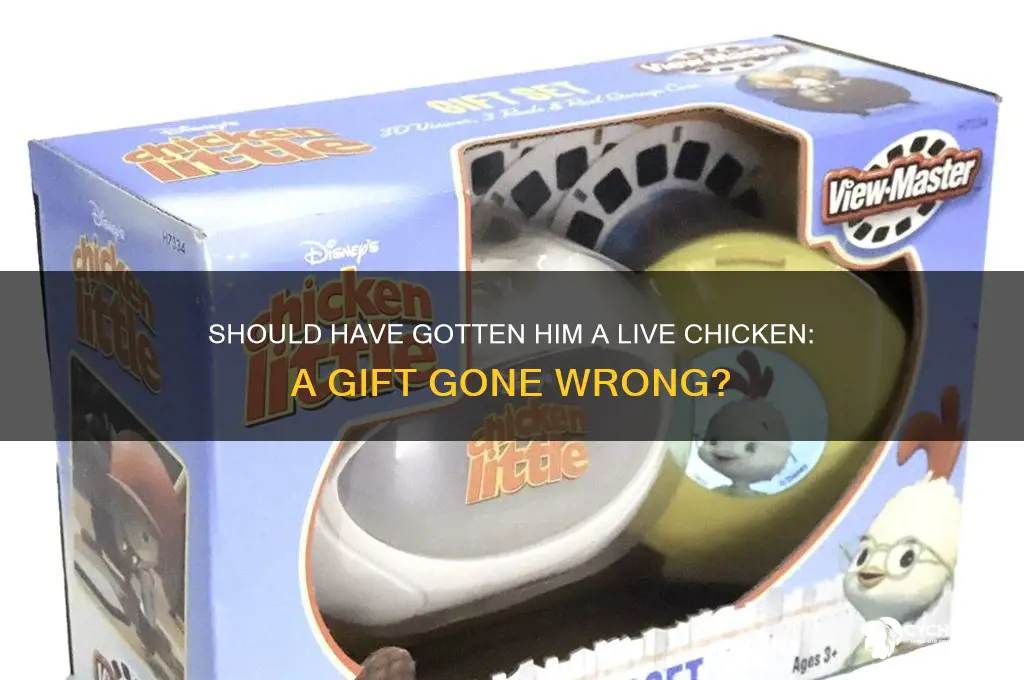 should have gotten him a live chicken