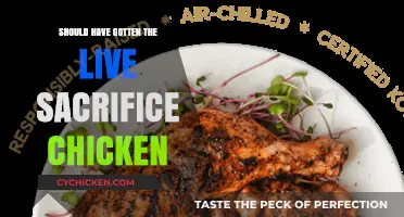 Why I Regret Not Choosing the Live Sacrifice Chicken Ritual