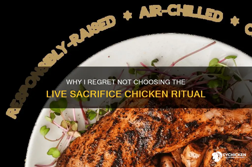should have gotten the live sacrifice chicken