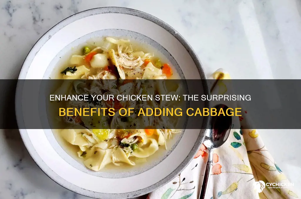 should i add cabbage to chicken stew