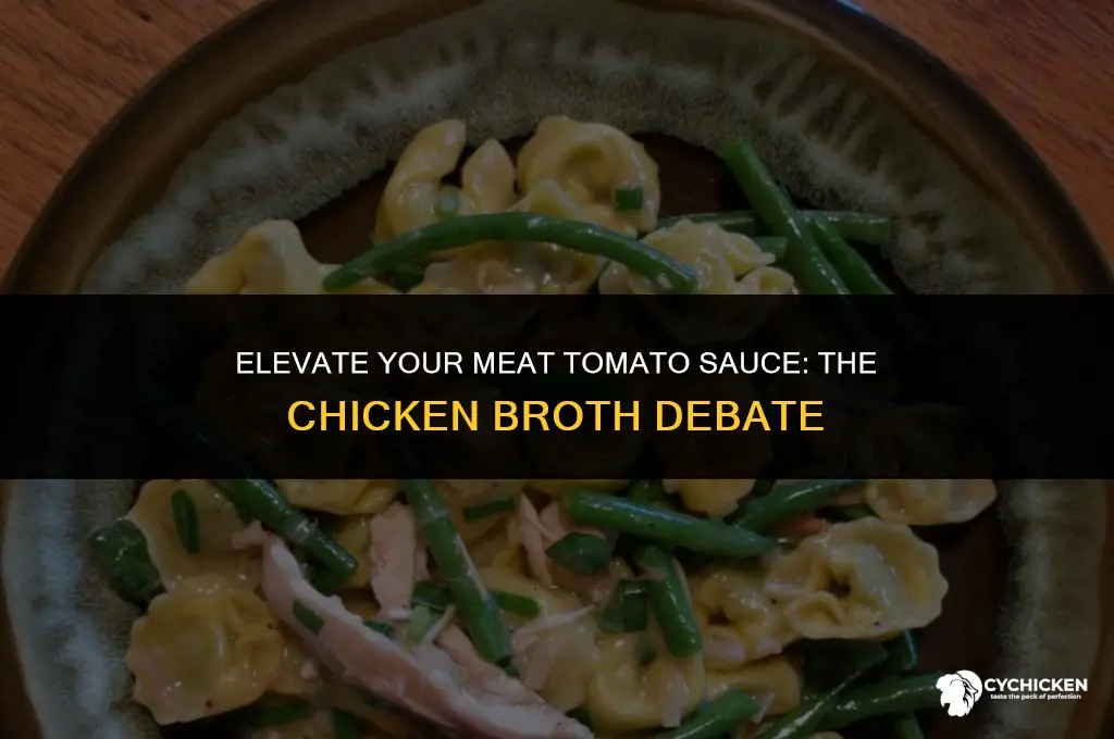 should i add chicken broth to my meat tomatoe sauce