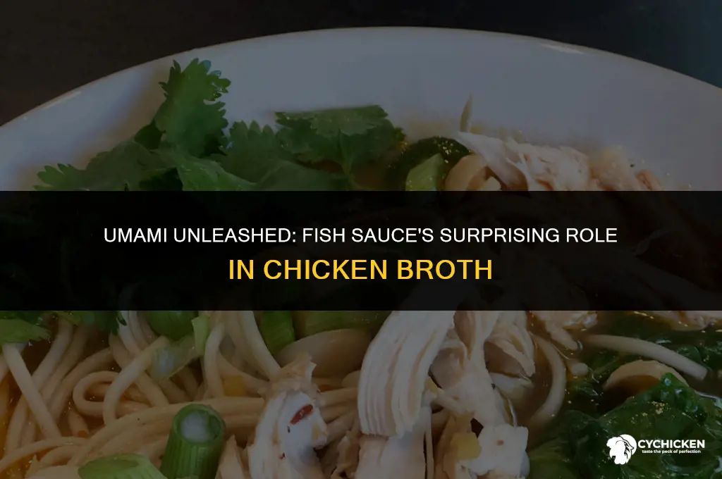 should i add fish sauce into chicken both broth