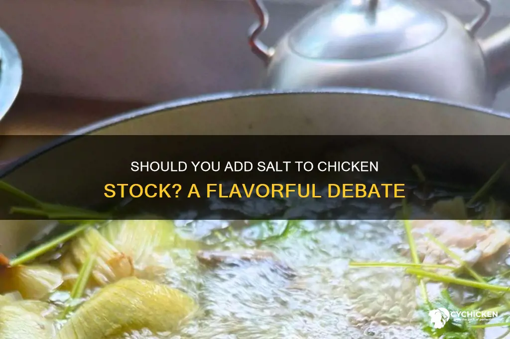 should i add salt to chicken stock