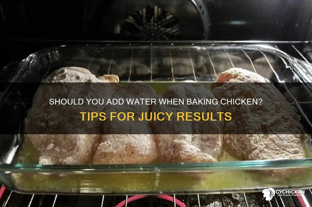 should i add water when baking chicken