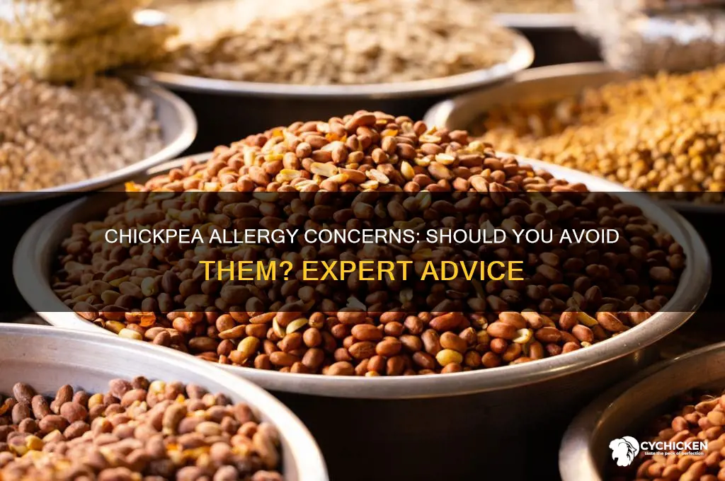 should i avoid chick peas for allergy