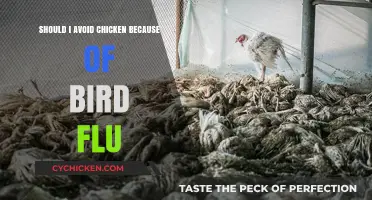 Bird Flu Concerns: Should You Avoid Chicken in Your Diet?