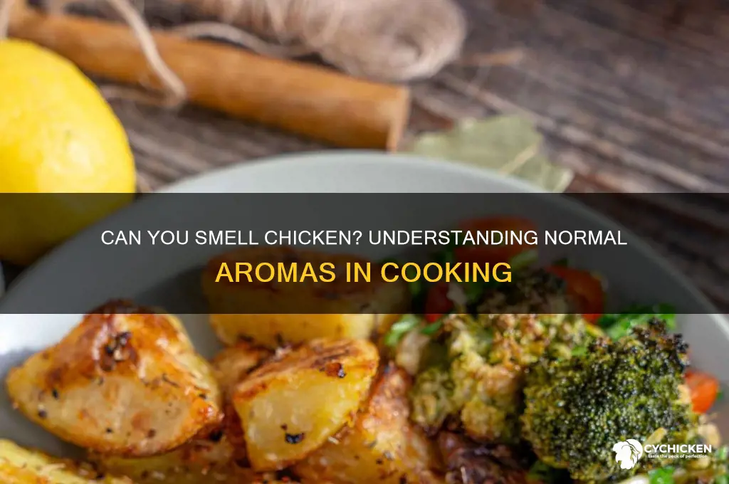 should i be able to smell chicken
