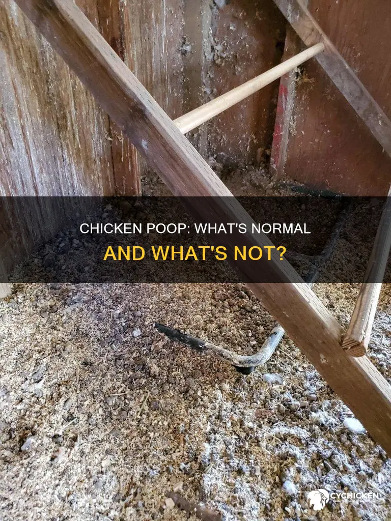 should i be concerned about chicken poop on my chickens