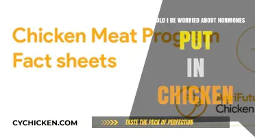 Chicken Hormones: Should We Be Concerned?