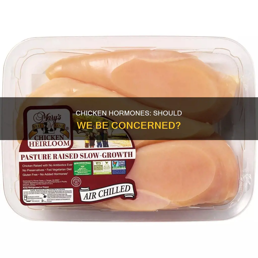 should i be worried about hormones put in chicken