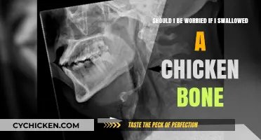 Swallowed a Chicken Bone? Here's When to Worry