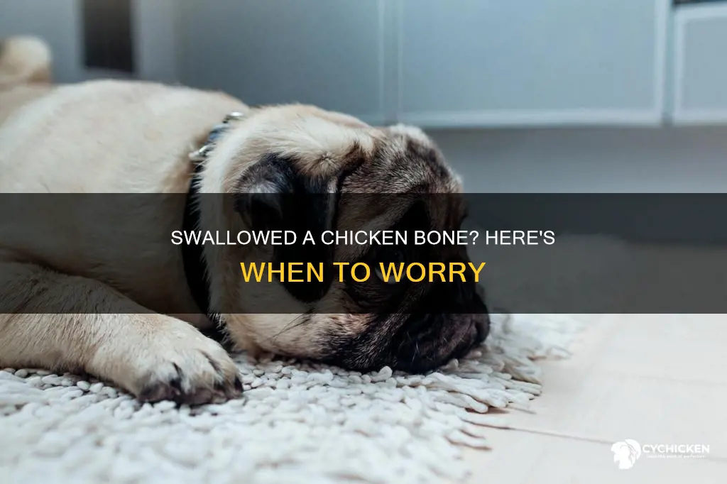 should i be worried if i swallowed a chicken bone