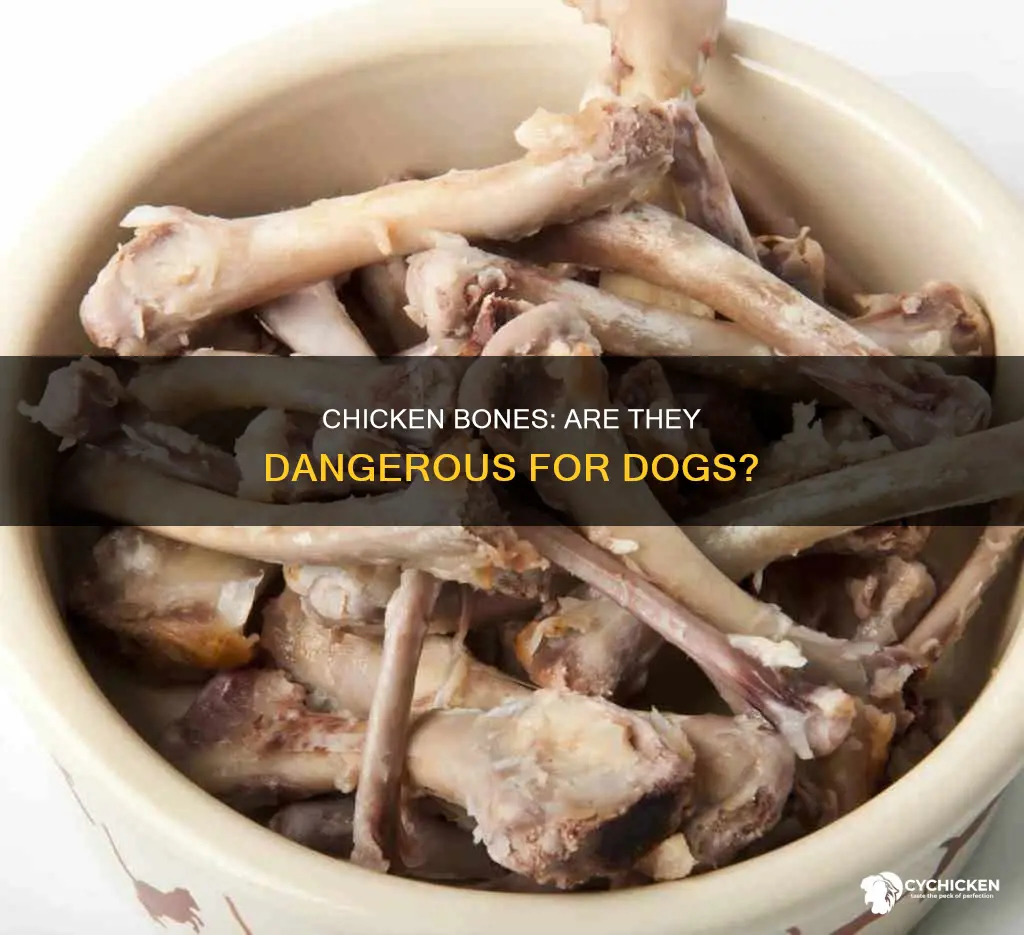 should i be worried if my dog ate chicken bones
