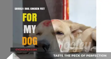 Boiling Chicken Feet for Dogs: Benefits, Risks, and How-To Guide