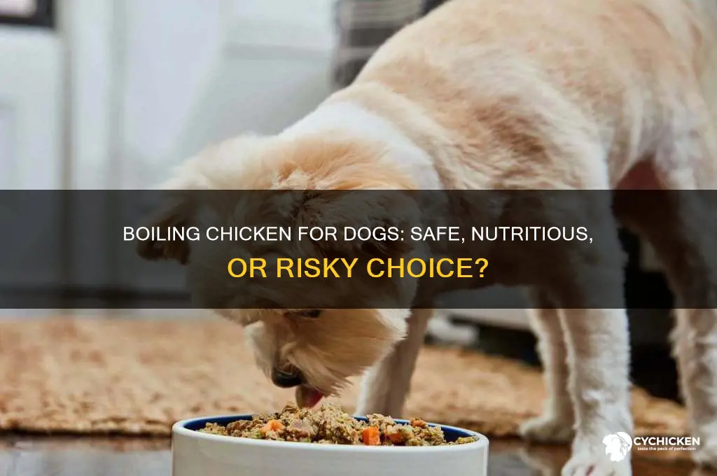 should i boil chicken for my dog