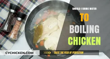 Boiling Chicken: Should You Add Water? Tips for Perfect Results